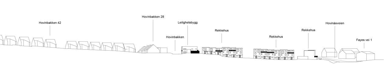 Terrengsnitt