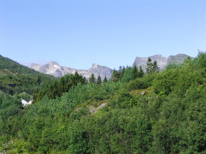 Montesorri6